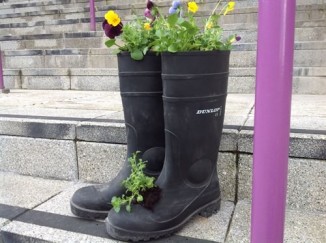Wacky Welly Wall