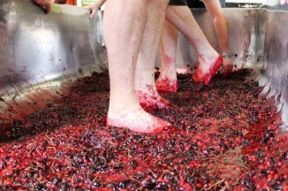 St Austell Brewery goes cherry picking