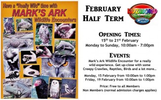 February Half Term in Kidzworld Adventure Play